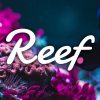 Reef coin nedir
