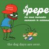 pepe coin memes