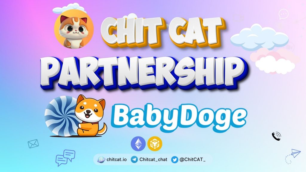 chitcat coin babydoge