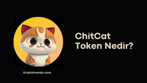 chitcat token geleceği