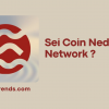 Sei Coin Nedir? Sei Network