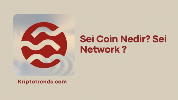 Sei Coin Nedir? Sei Network