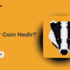 Badger Coin Nedir?