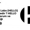 HELLO Labs (HELLO) Coin Nedir ? HELLO Coin Yorum ve Geleceği