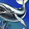 Whale.webp