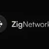 zig network.webp