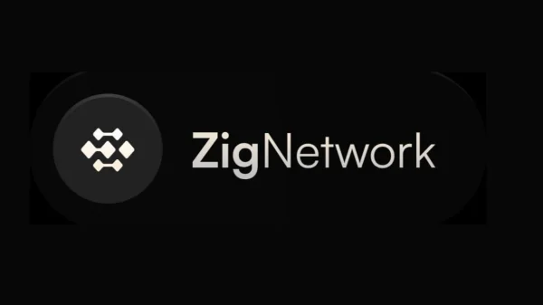 zig network.webp