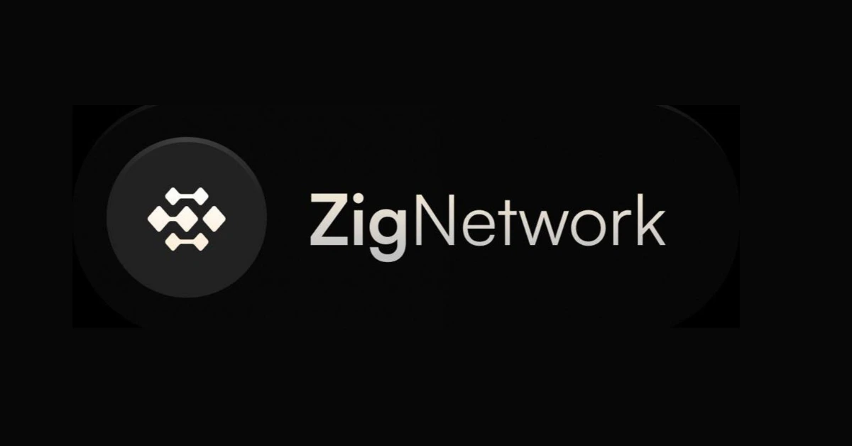 zig network.webp