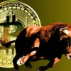 Bitcoin Bull Run Alert 74000 and New All Time Highs Just Weeks Away.webp