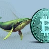 Bitcoin Whale Makes 178 Million From 120 Amidst Recent Price Surge Selling Pressure To Affect BTC.we