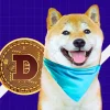 Dogecoin Price Analysis Bull Run Targets 0.50 This November.webp