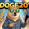 doge 2014 1.webp