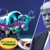 trump bull run.webp