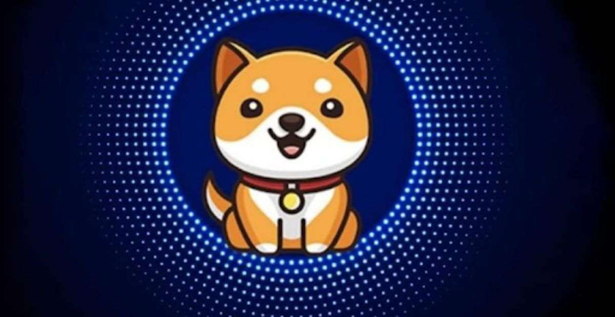 Baby doge.jpg