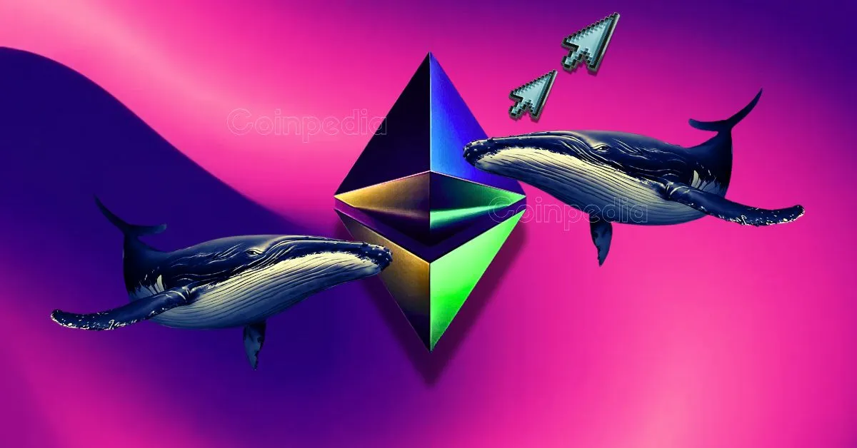 Time To Buy Ethereum Crypto Whale Buys 5.92 Million of ETH.webp.webp