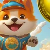 chow wow shib.webp.webp