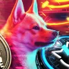doge jetbolt.webp.webp