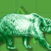 Peter Schiff Warns of SP 500 Bear Market and Inflation Impact Bitcoin Struggles as Gold Soars in 202.webp