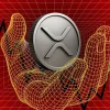 XRP Lawsuit News Ripple Can Now Sell to Institutional Investors but Ex SEC Lawyer Warns of Legal Ch.webp