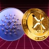 XRP cardano.webp.webp