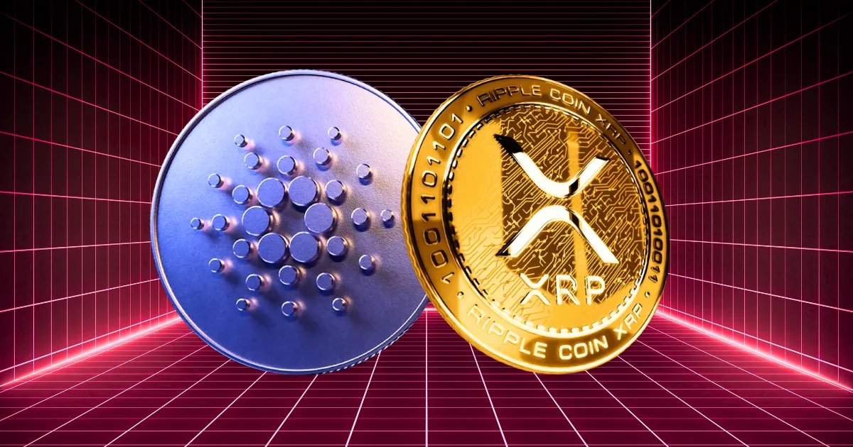 XRP cardano.webp.webp