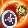 ruvi ai doge.webp.webp