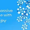 space pay.webp.webp