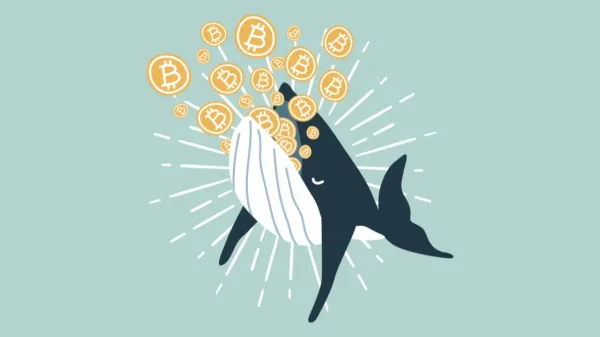 Bitcoin Whales vs Daimond Hands.webp.webp
