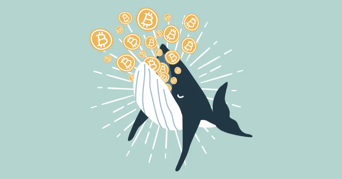 Bitcoin Whales vs Daimond Hands.webp.webp