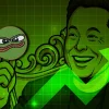 elon pepe.webp.webp