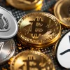 muttum finance crypto 1.webp.webp