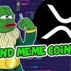 pepeto xrp.webp.webp