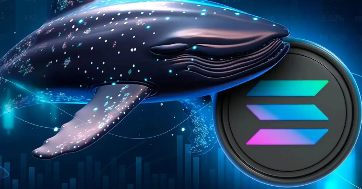 solana whale.webp.webp