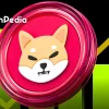 Can Shiba Inu SHIB Price Hit 0.00003 Level.webp.webp