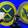 Pro XRP Lawyer Shuts Down Ripples E28098No Legal Clarity Rumors From Bitcoin Maxis 1 1.webp.webp