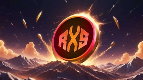 Rexas Finance 2.jpg