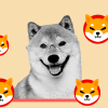 Shiba Inu Reveals Ambitious Plans for Shibarium Ecosystem Whats Coming Next.png