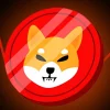 Shiba Inu SHIB Price to Pump by 17 Top Analyst Spots Breakout Signal.webp.webp