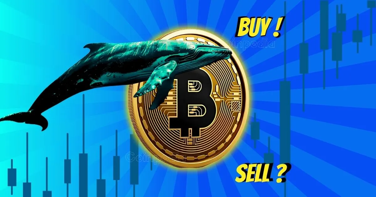 Whales Selling Retail Buying Is Bitcoin Price at 109k on Crossroads.webp.webp