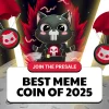 punisher coin presale 1.webp.webp