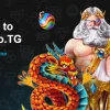 crashino telegram casino.webp.webp