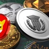 mutuum finance shib.webp.webp