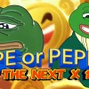 pepe pepeto 2.webp.webp
