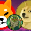 pepeto doge shib.webp.webp