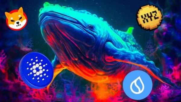 Remittix 30.jpg