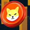 SHIB Team Reveals the Truth About BONE in Viral X Post.webp.webp