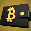 Cryptonator Wallet Review 11zon.webp.webp
