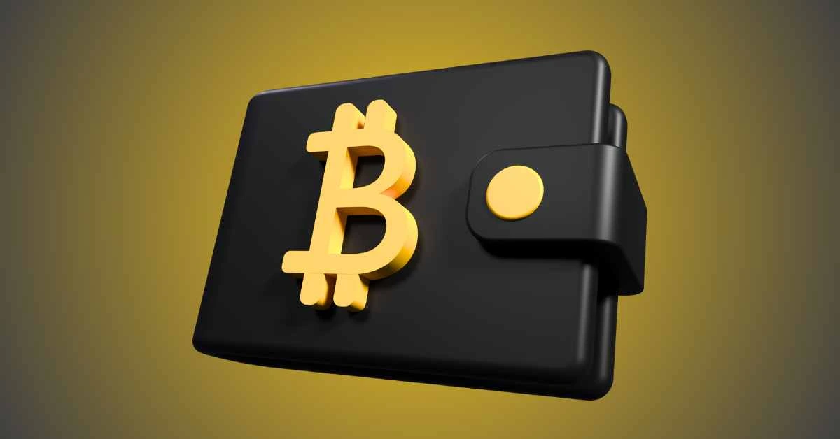 Cryptonator Wallet Review 11zon.webp.webp