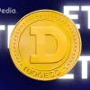 Full List of Dogecoin ETFs Awaiting SEC Approval Dates Filings and Whats Next.webp.webp
