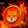 New SHIB Burn Mechanism Announced Through Gaming Push.webp.webp